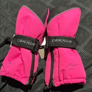 Pink and Black Insulated Mittens by